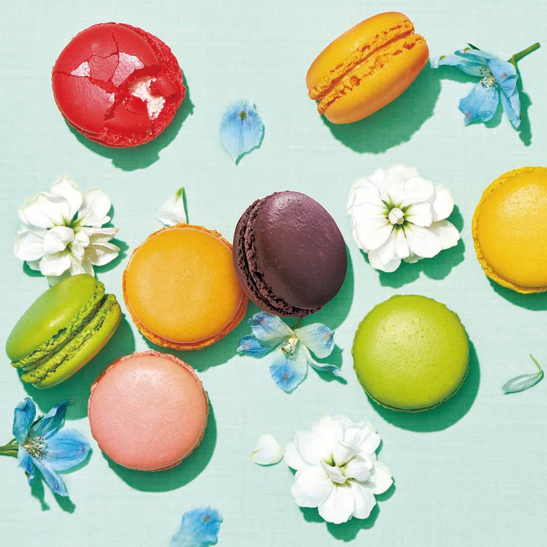 ダロワイヨ 自由が丘本店