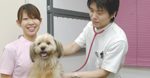 センターヴィル動物病院 自由が丘オフィシャルウェブサイト