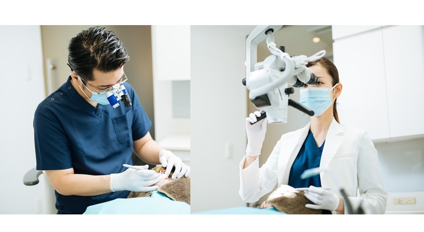 三好歯科 自由が丘の二人の歯科医師の治療風景