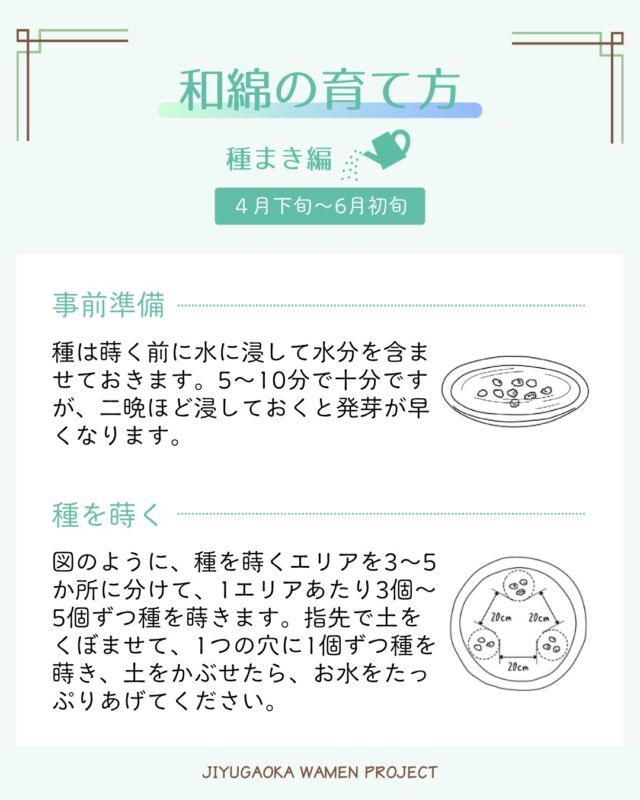みなさん、種まきは終わりましたか？
これから種まきをする方は参考にしてくださいね。

#自由が丘和綿プロジェクト #自由が丘sdgs宣言 #和綿 #自由が丘 #オーガニックコットン